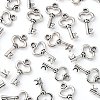 Gifts Ideas for Her Tibetan Style Alloy Charms LF11975Y-4