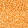 Baking Paint Glass Seed Beads SEED-L011-09A-04-3