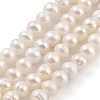Natural Cultured Freshwater Pearl Beads Strands PEAR-C003-39-1