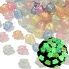 Luminous Transparent Acrylic Beads OACR-B031-19-1