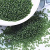 MIYUKI Round Rocailles Beads SEED-G007-RR0158F-4