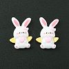 Opaque Resin Cabochons CRES-O006-05A-2