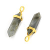 Natural Labradorite Pointed Pendants X-G-G902-A11-2