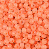 6/0 Transparent Inside Colours Glass Seed Beads SEED-N008-08R-3