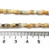 Natural Crazy Agate Beads Strands G-B064-A03-5