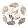 Brass & Natural Oliva Shell Pendants SHEL-Q029-22KCG-1