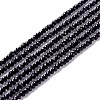 Transparent Glass Beads Strands GLAA-C019-01A-04-1