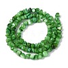 Natural Freshwater Shell Beads Strands SHEL-N037-04J-2