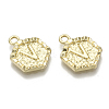 Alloy Pendants PALLOY-N157-003V-NR-2