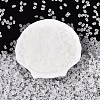 FGB Frosted Transparent Glass Seed Beads SEED-N013-06A-01-2