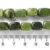 Dyed Natural Chinese Southern Jade Beads Strands G-P497-01D-01-5