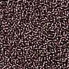 TOHO Round Seed Beads SEED-XTR11-0026BF-2