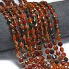 Natural Carnelian Beads Strands G-K389-B43-01-2