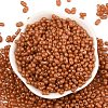 Baking Paint Glass Seed Beads SEED-L011-09A-25-2