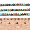 Natural African Turquoise(Jasper) Beads Strands G-K366-G01-3mm-5