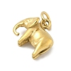 304 Stainless Steel Charms STAS-P391-01C-G-2