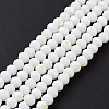 Electroplate Opaque Solid Color Glass Beads Strands EGLA-A044-P8mm-L01-2