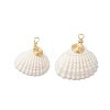 Natural Shell Pendants PALLOY-JF03316-03-1