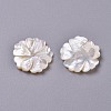 Natural White Shell Mother of Pearl Shell Cabochons SSHEL-L013-08-2