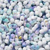 Baking Paint Glass Seed Beads X-SEED-F005-01A-09-3