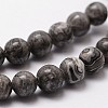Natural Map Stone/Picasso Stone/Picasso Jasper Round Beads Strands G-E329-10mm-47-5