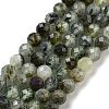 Natural Prehnite Beads Strands X-G-G140-A19-08-1