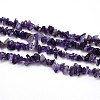 Natural Amethyst Beads Strands G-O049-C-23-1