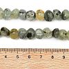 Natural Prehnite Beads Strands G-P617-B01-01-5