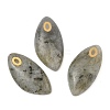 Natural Labradorite Pendants STAS-P380-80G-03-1