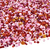 100G 2 Colors Glass Seed Beads SEED-TA0001-17B-2