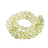 Crackle Transparent Glass Beads Strands GLAA-N068-06A-08-2