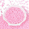 Baking Paint Glass Seed Beads SEED-N007-29E-2