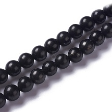 Natural Shungite Beads Strands G-H237-8mm