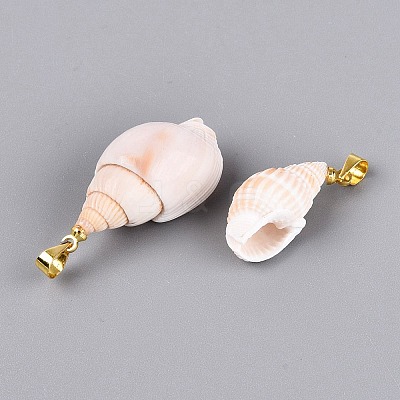 Brass & Natural Spiral Shell Pendants SHEL-Q029-18KCG-1