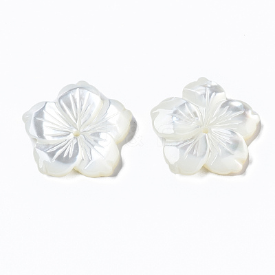 Natural White Shell Mother of Pearl Shell Beads SSHEL-T014-42D-1