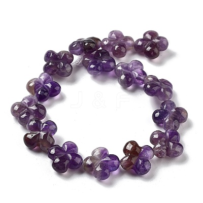 Natural Amethyst Beads Strands G-P520-A07-01-1