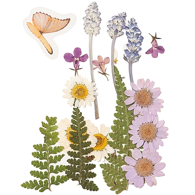 Pressed Dried Flowers DIY-YWC0001-94-1