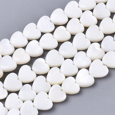 Natural Freshwater Shell Beads Strands X-SHEL-N026-67-1