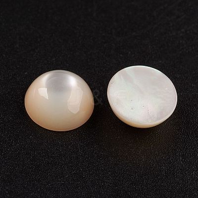 Natural White Shell Mother of Pearl Shell Cabochons SSHEL-G014-13-1