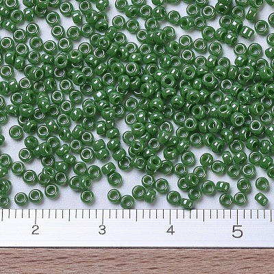 MIYUKI Round Rocailles Beads X-SEED-G007-RR0431-1