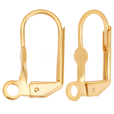 50Pcs Brass Leverback Earring Findings KK-BBC0003-68-1