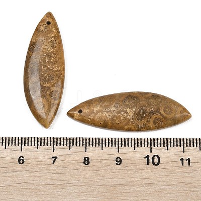 Natural Fossil Coral Pendants G-B187-01C-06-1