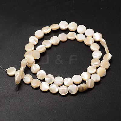 Natural Trochid Shell/Trochus Shell Beads Strands SSHEL-K016-04-1