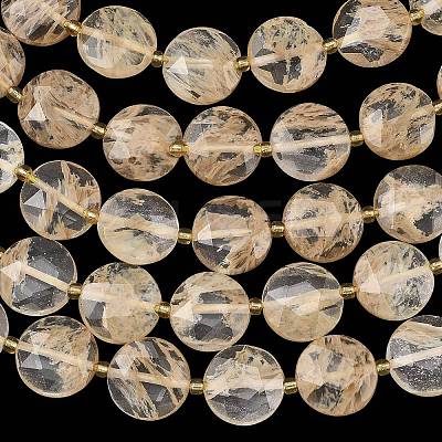 Coffee Watermelon Stone Glass Beads Strands G-A292-A04-01-1