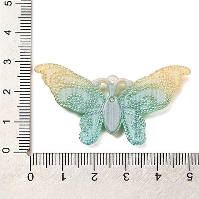 Gradient Color Resin Pendants RESI-Q012-03F-1