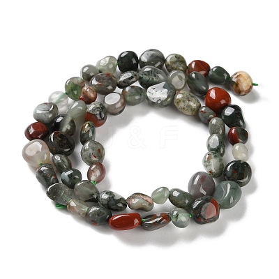 Natural African Bloodstone Beads Strands G-P497-01C-22-1