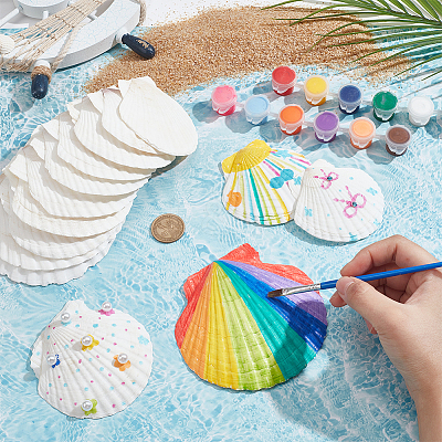 14Pcs 4 Styles Natural Shell Painting Accessories DIY-NB0012-05-1