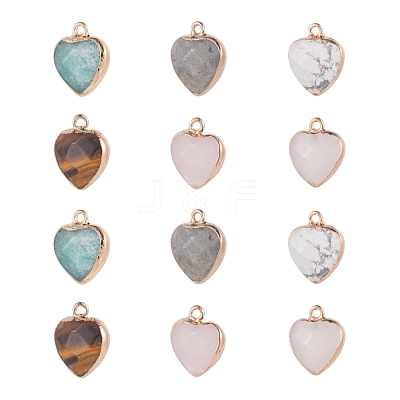 12Pcs 6 Style Electroplate Natural Gemstone Pendants G-LS0002-09-1
