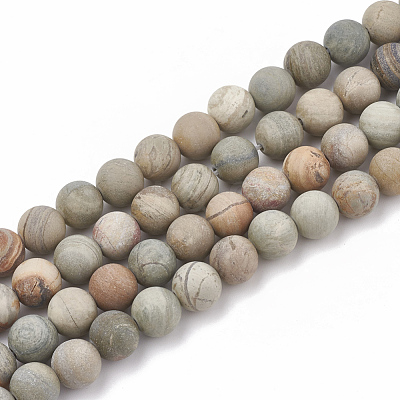 Natural Silver Leaf Jasper Beads Strands G-T106-236-1