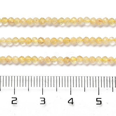 Heated Natural Citrine Beads Strands X-G-Z074-A03-01-1